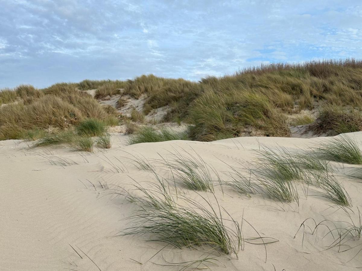 Appartement Plage Merlimont 10 Mn Berck Le Touquet Avec Jardin ภายนอก รูปภาพ